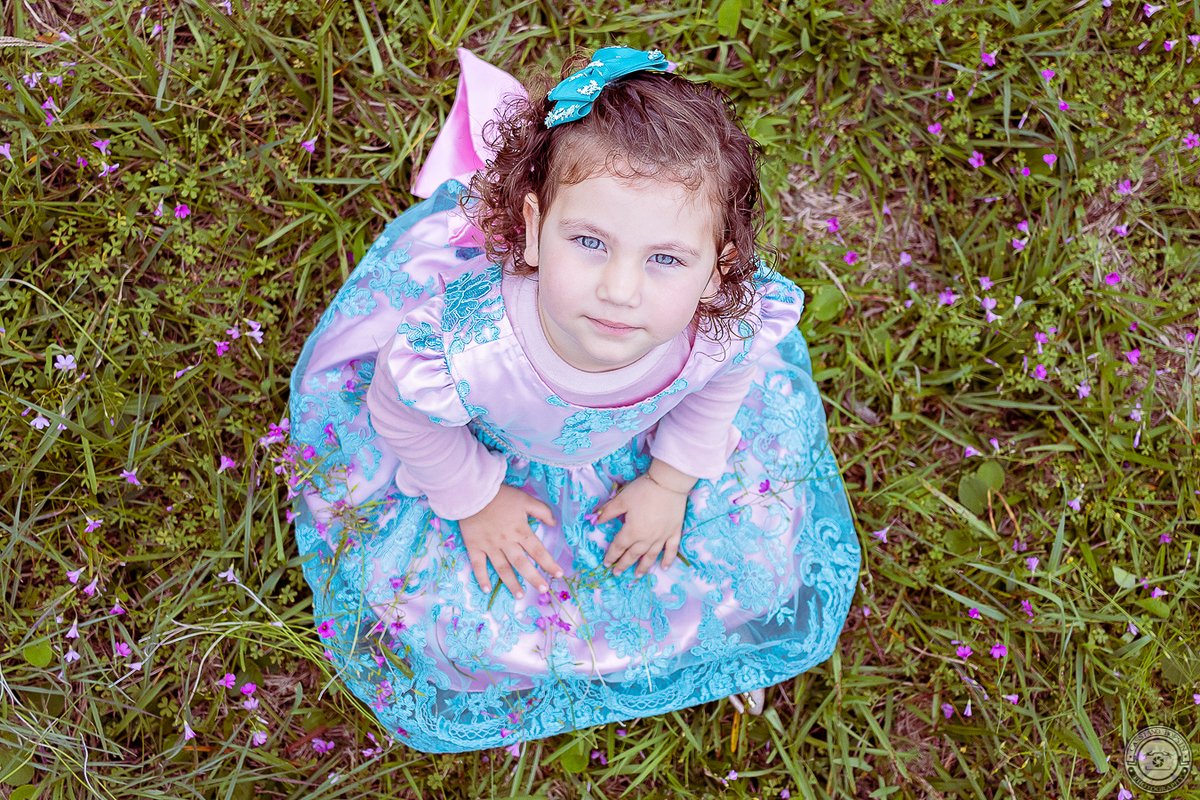 princesa