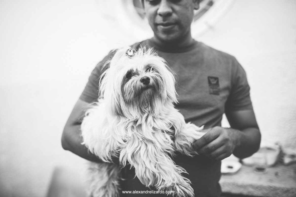 cachorro em casamento