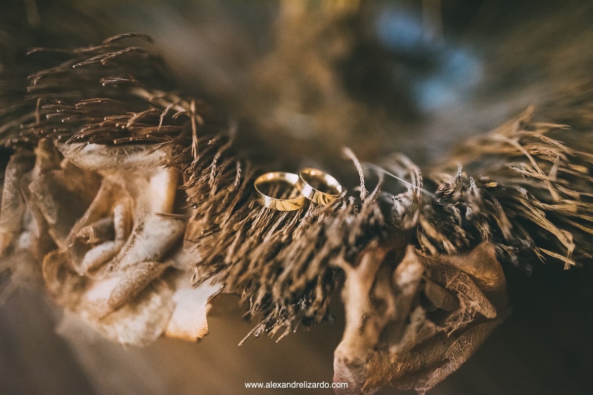 fotografo de casamento, bh, Belo Horizonte, Minas Gerais, Brasil, fotografia, mini wedding, destination wedding, Alexandre Lizardo, fot&oacute;grafo, noiva, noivo, bride, groom, wedding, photographer