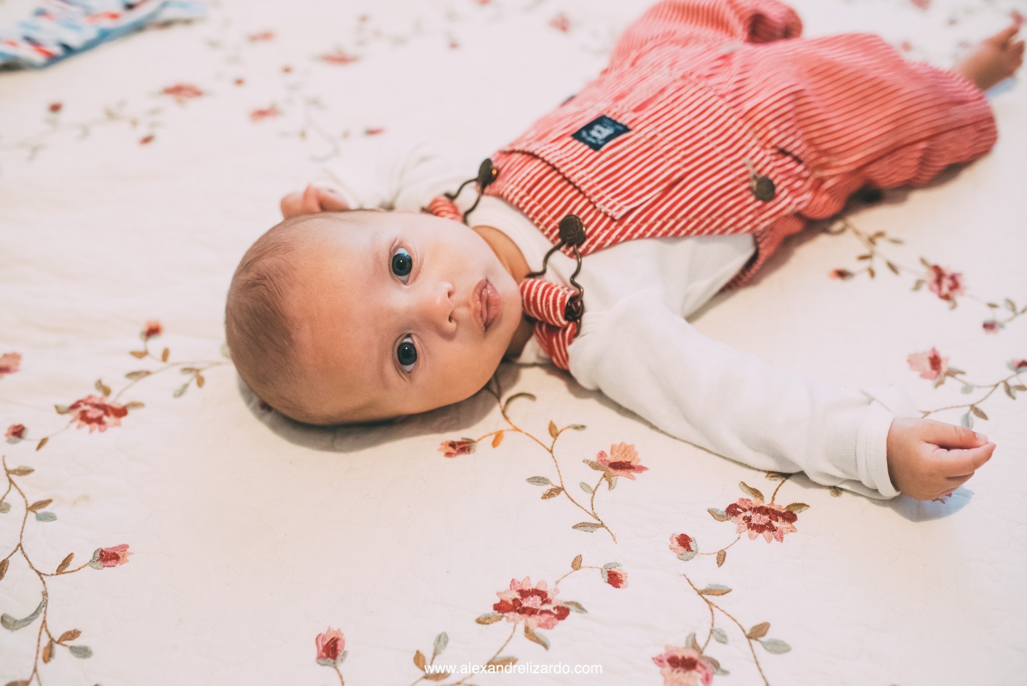 ensaio infantil, Alexandre Lizardo, fotografia, fotografo, ensaio familia, fotografo de familia, fotografia de familia, bh, Belo Horizonte, Minas Gerais, brazil, criança, foto, child, Estados Unidos, baby, session, nova York