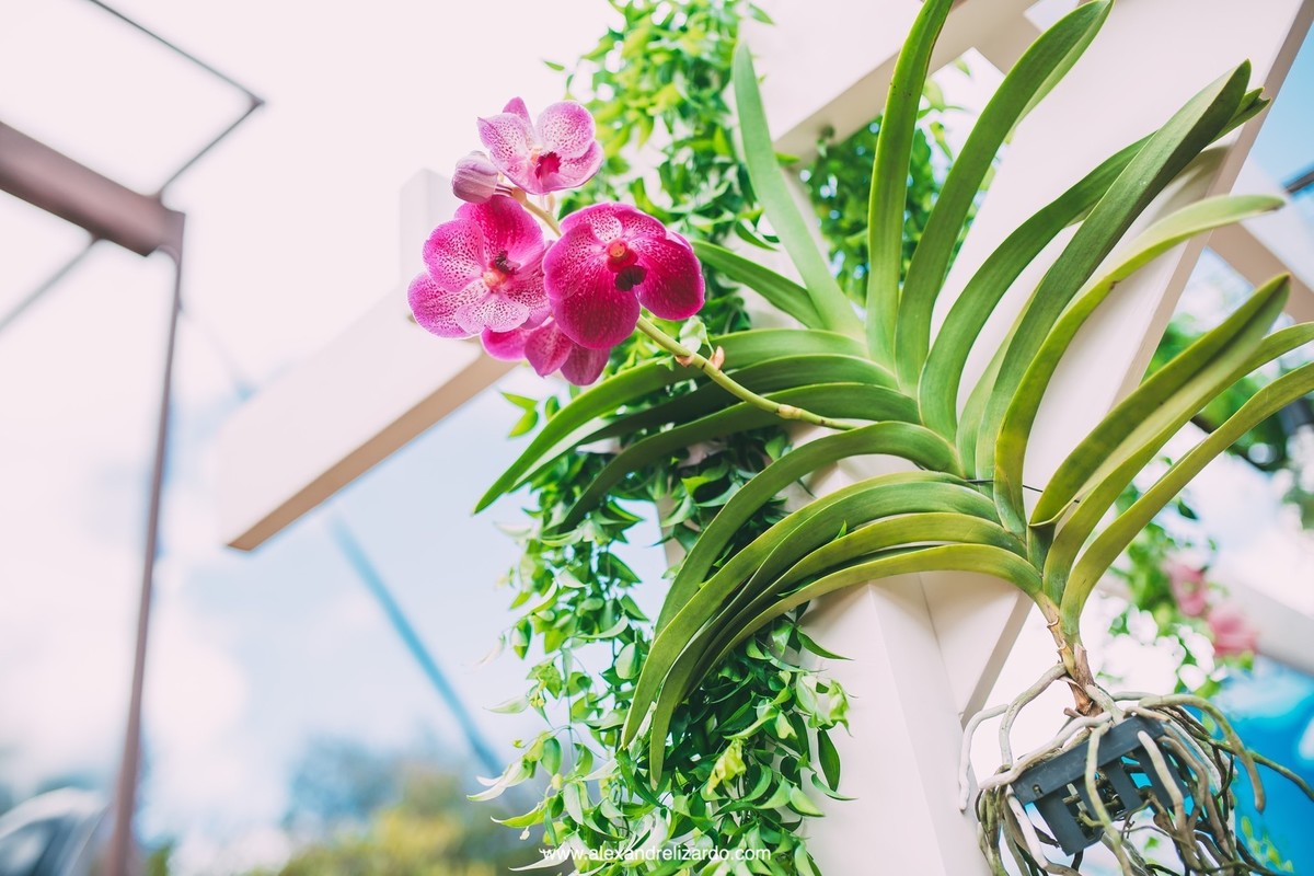 fotografo de casamento, bh, Belo Horizonte, Minas Gerais, Brasil, fotografia, mini wedding, destination wedding, Alexandre Lizardo, fot&oacute;grafo, noiva, noivo, bride, groom, wedding