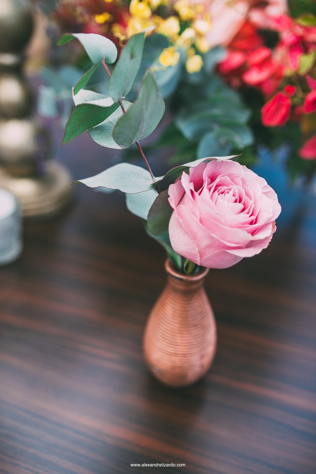 fotografo de casamento, bh, Belo Horizonte, Minas Gerais, Brasil, fotografia, mini wedding, destination wedding, Alexandre Lizardo, fot&oacute;grafo, noiva, noivo, bride, groom, wedding