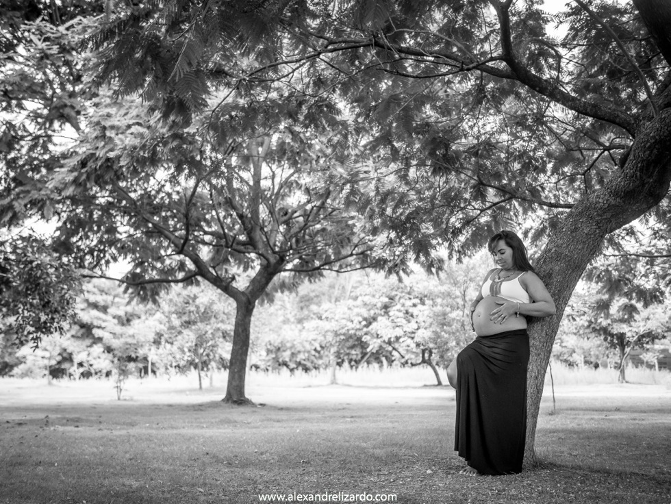 alexandre lizardo fotografo de gestante bh