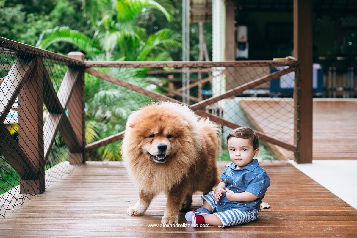 fotógrafo de família em Belo Horizonte, BH, alexandre lizardo, fotografia de família, ensaio infantil, criança, foto, retrato, photographer, child, family, brasil, minas gerais, brumadinho, ensaio de criança com cachorro