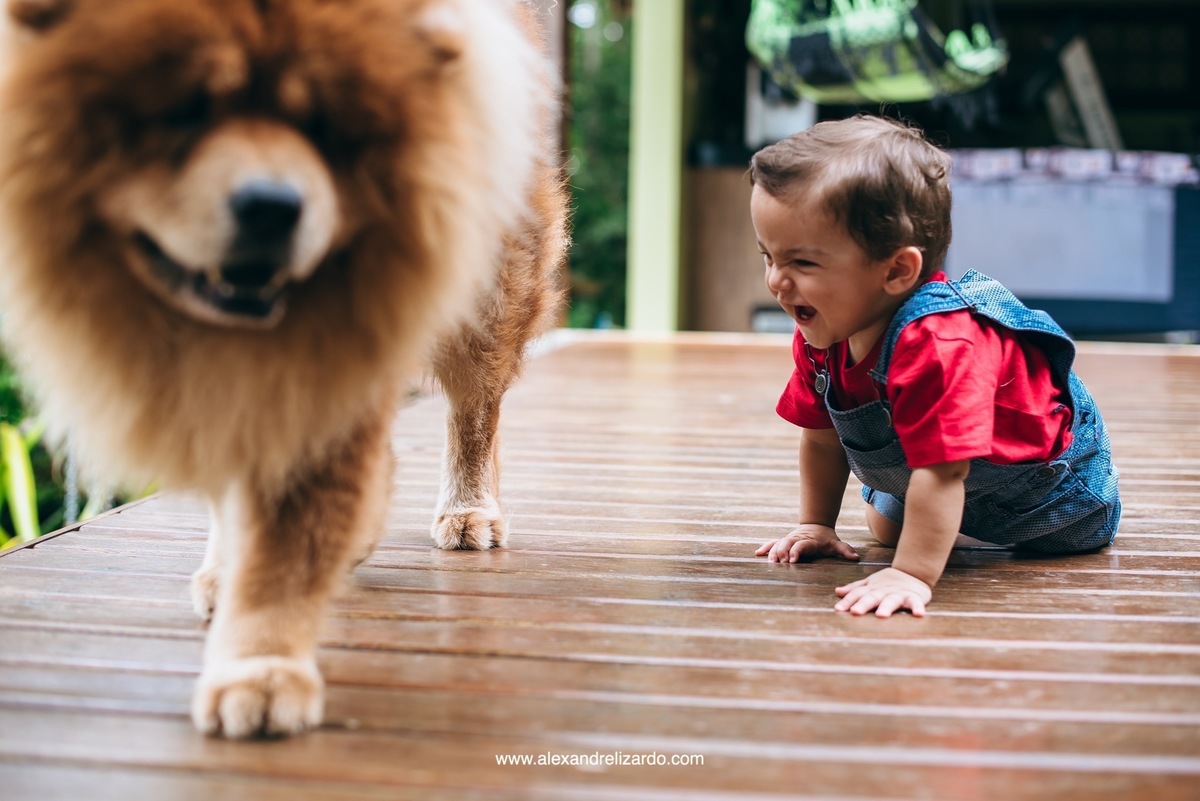 fotógrafo de família em Belo Horizonte, BH, alexandre lizardo, fotografia de família, ensaio infantil, criança, foto, retrato, photographer, child, family, brasil, minas gerais, brumadinho, ensaio de criança com cachorro