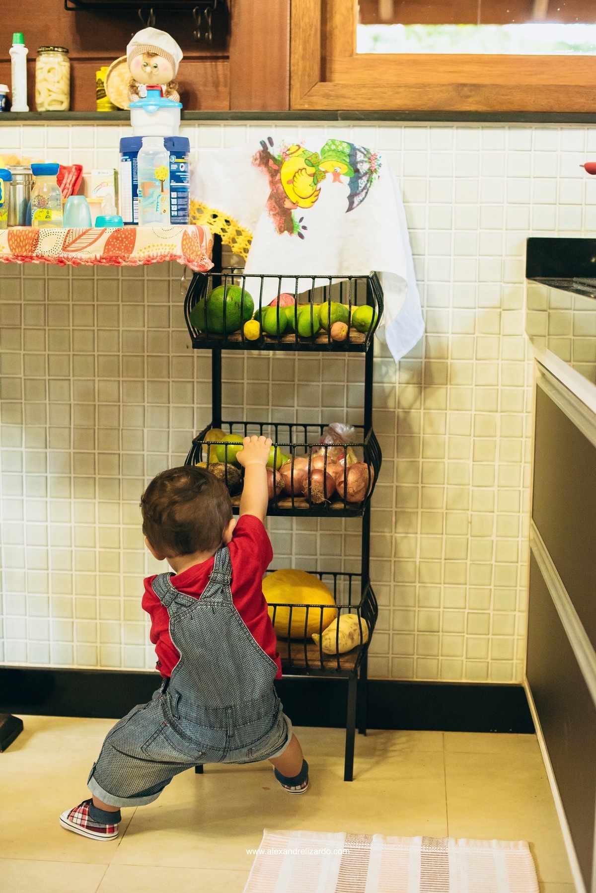 fotógrafo de família em Belo Horizonte, BH, alexandre lizardo, fotografia de família, ensaio infantil, criança, foto, retrato, photographer, child, family, brasil, minas gerais, brumadinho, ensaio de criança com cachorro