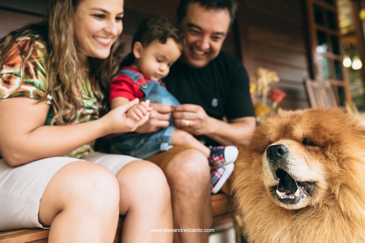 fotógrafo de família em Belo Horizonte, BH, alexandre lizardo, fotografia de família, ensaio infantil, criança, foto, retrato, photographer, child, family, brasil, minas gerais, brumadinho, ensaio de criança com cachorro