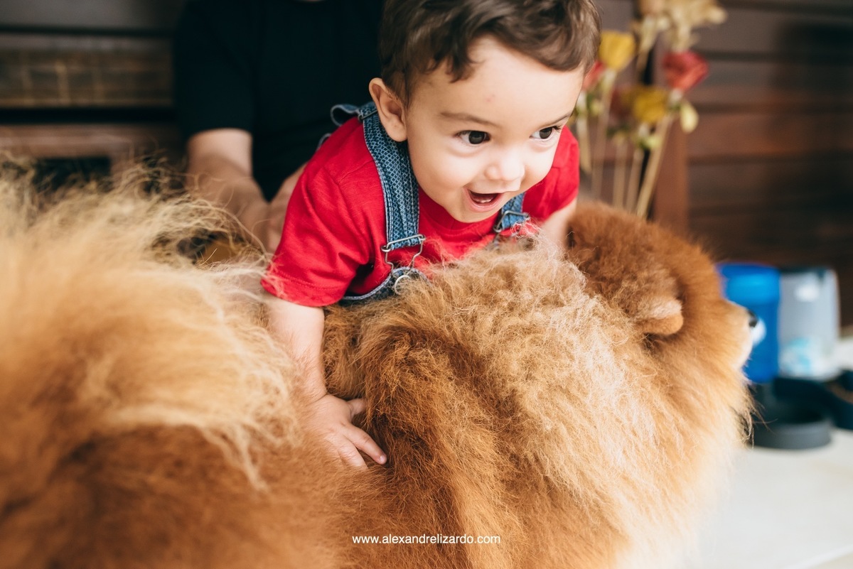 fotógrafo de família em Belo Horizonte, BH, alexandre lizardo, fotografia de família, ensaio infantil, criança, foto, retrato, photographer, child, family, brasil, minas gerais, brumadinho, ensaio de criança com cachorro
