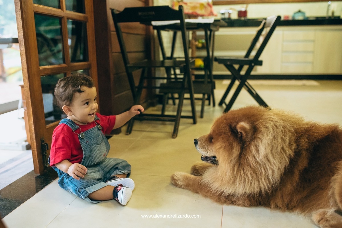 fotógrafo de família em Belo Horizonte, BH, alexandre lizardo, fotografia de família, ensaio infantil, criança, foto, retrato, photographer, child, family, brasil, minas gerais, brumadinho, ensaio de criança com cachorro