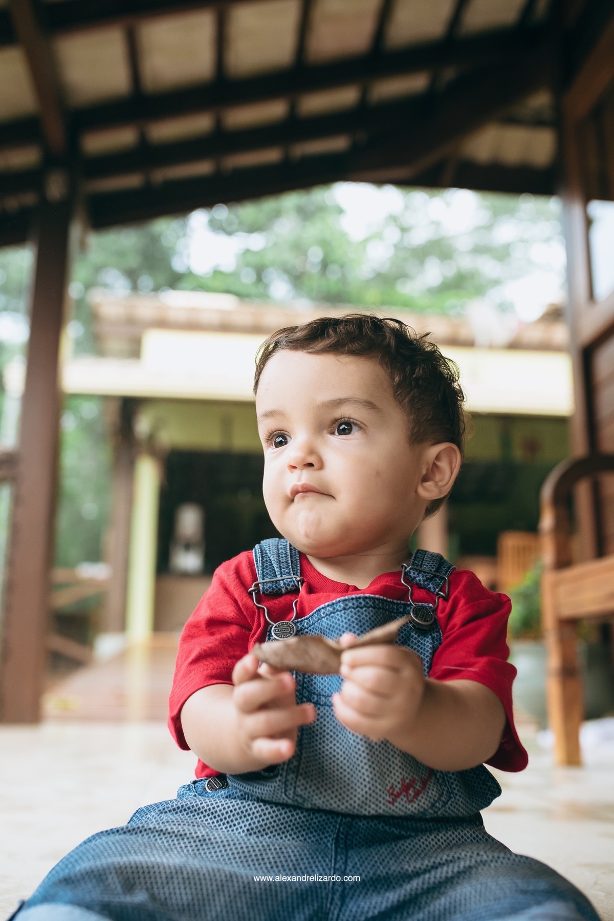 fotógrafo de família em Belo Horizonte, BH, alexandre lizardo, fotografia de família, ensaio infantil, criança, foto, retrato, photographer, child, family, brasil, minas gerais, brumadinho, ensaio de criança com cachorro