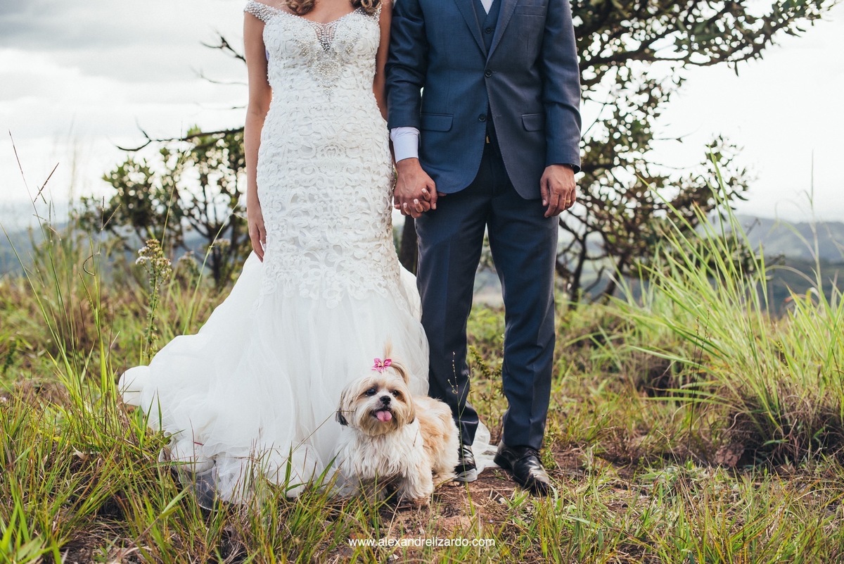 alexandre lizardo fotografia, fotografo de casamento em belo horizonte