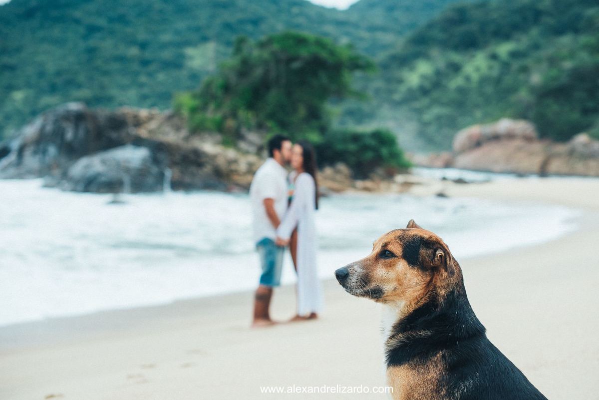 praia do meio, trindade - Rio de janeiro