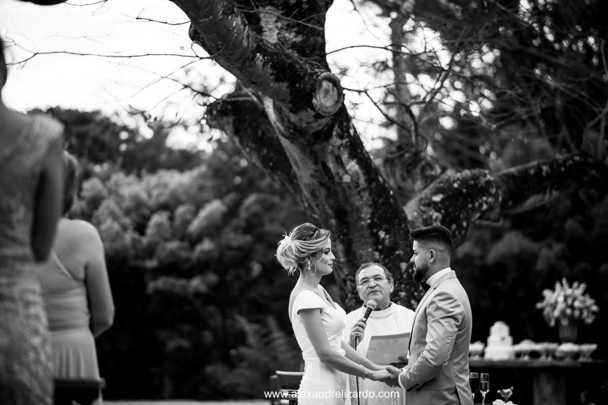 casamento debaixo do jatoba