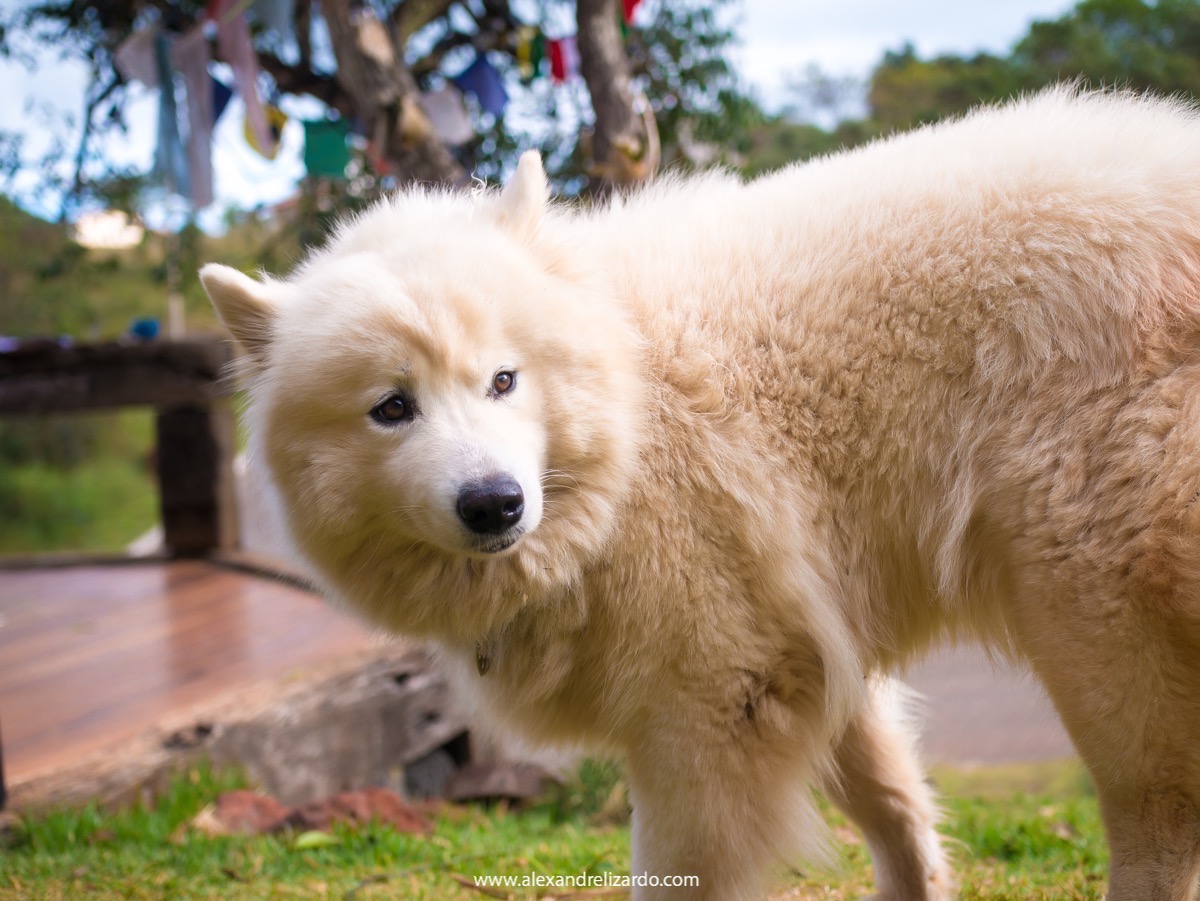 fotografia de casamento bh