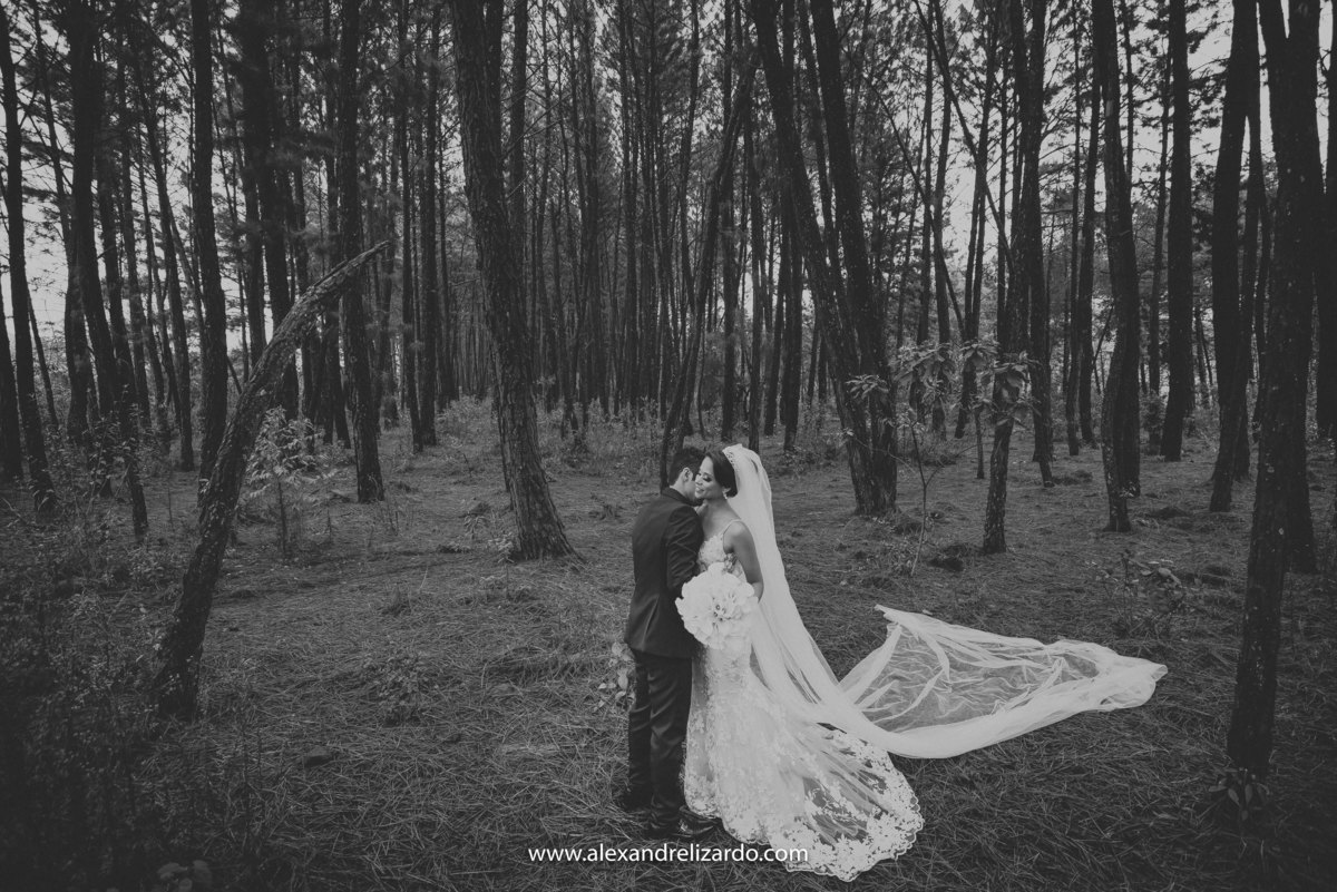 pós wedding, belo horizonte, bh, minas gerais, pós casamento, fotógrafo de casamento, fotografia de casamento, alexandre lizardo, vestido de noiva, blog, dicas, véu, vestido noiva, terno noivo, casamento bh