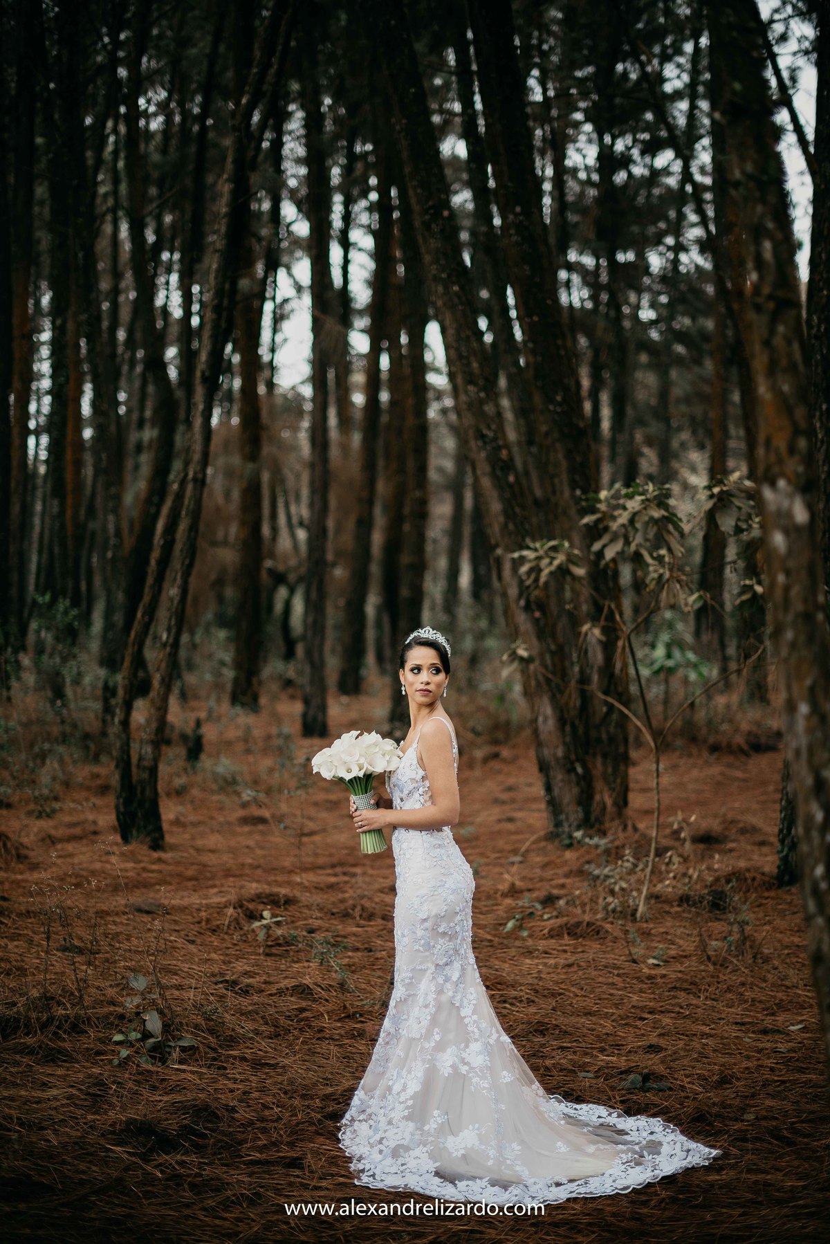 pós wedding, belo horizonte, bh, minas gerais, pós casamento, fotógrafo de casamento, fotografia de casamento, alexandre lizardo, vestido de noiva, blog, dicas, véu, vestido noiva, terno noivo, casamento bh