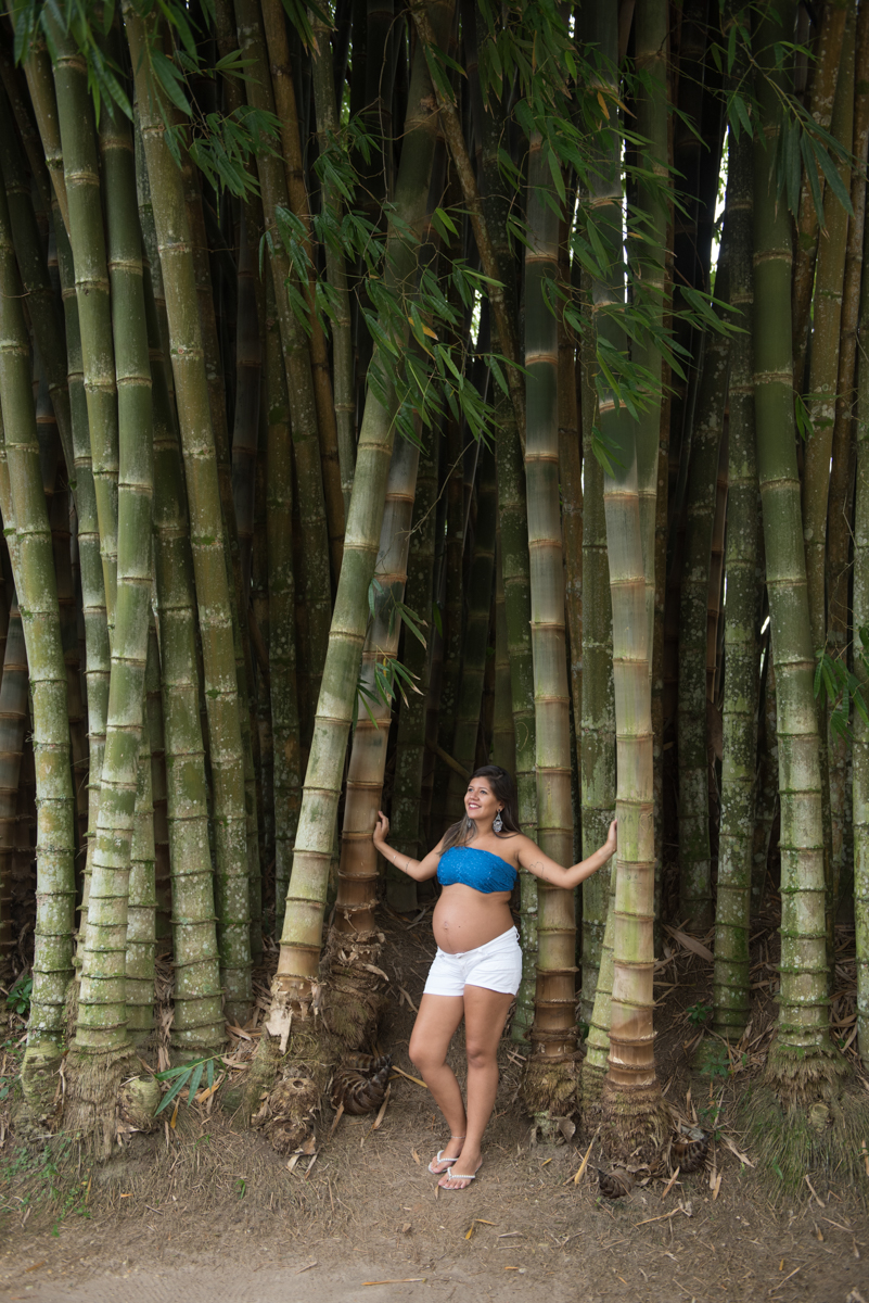 Parque da Cidade Roberto Burle Marx