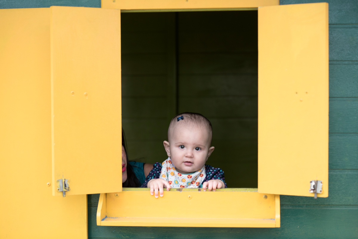 Na janela da casa amarela