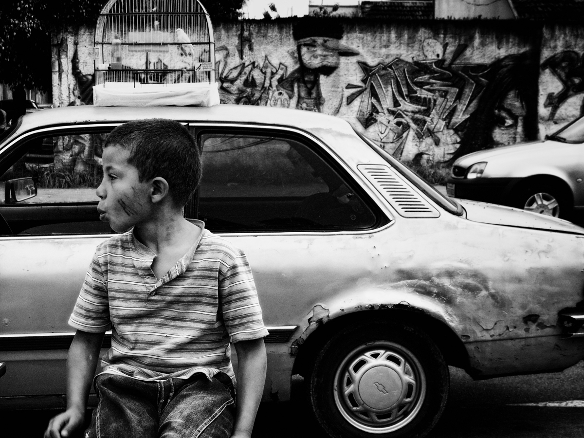 menino assibiando junto com o pássaro