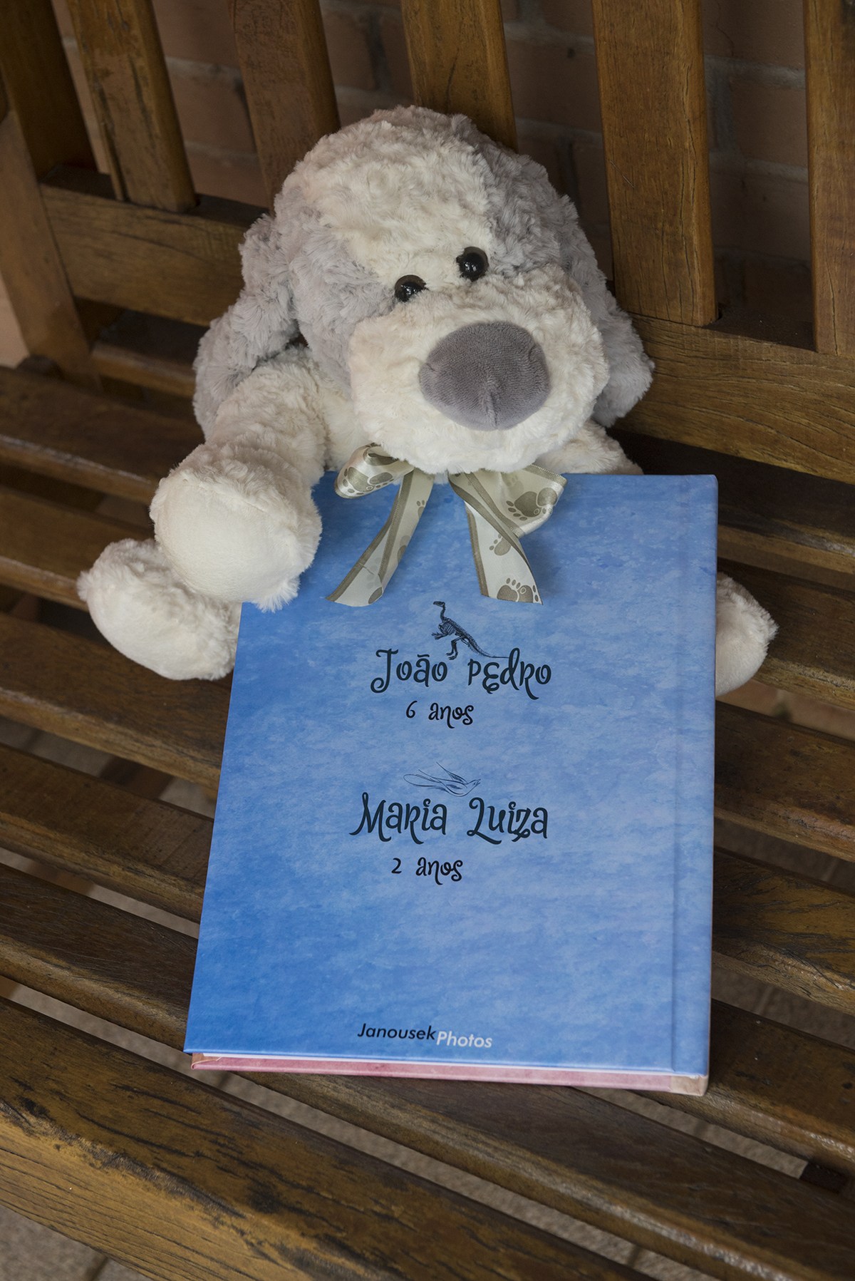 fotografia para álbum de aniversário infantil