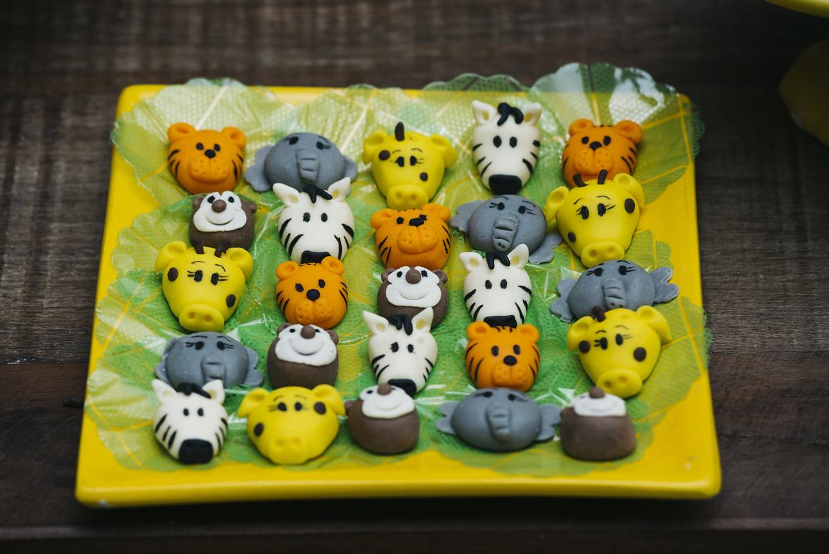 foto em plano de cima dos docinhos de bicho selvagem