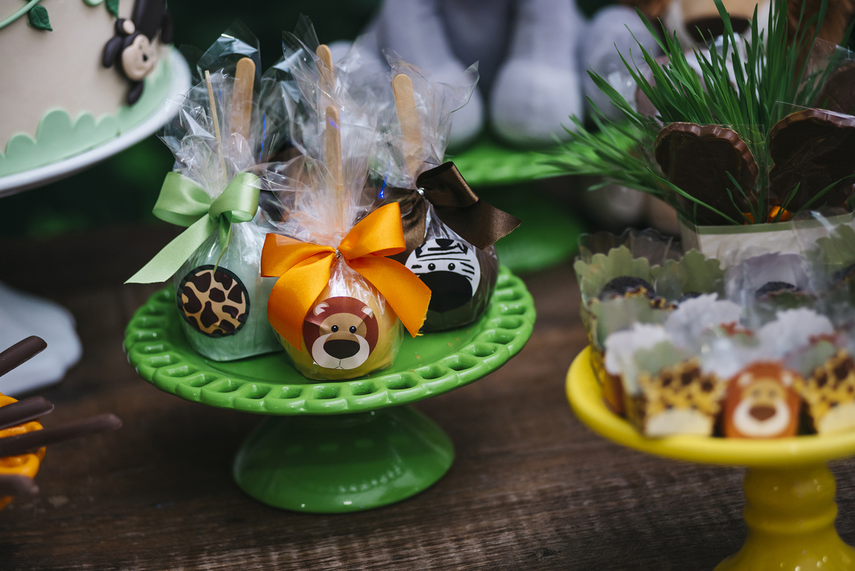 selva cheia de doces na festa infantil do Lucas