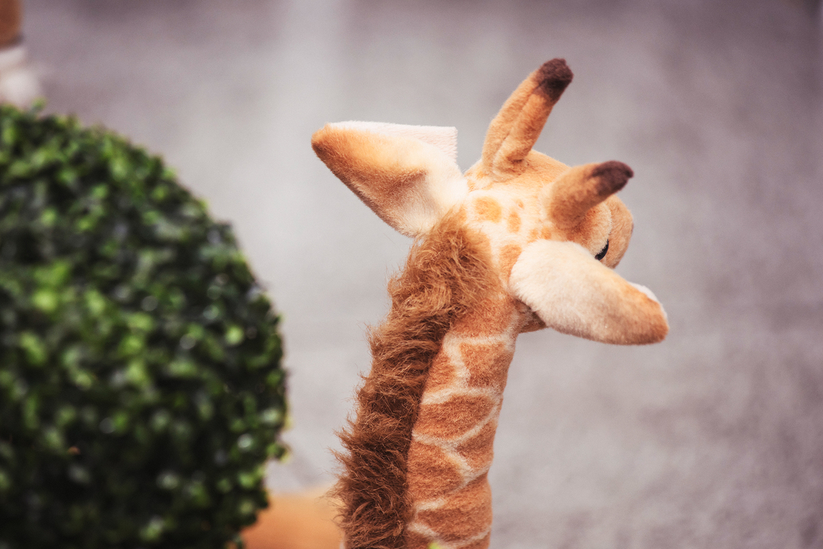 fotografia para aniversario de criança em sjc