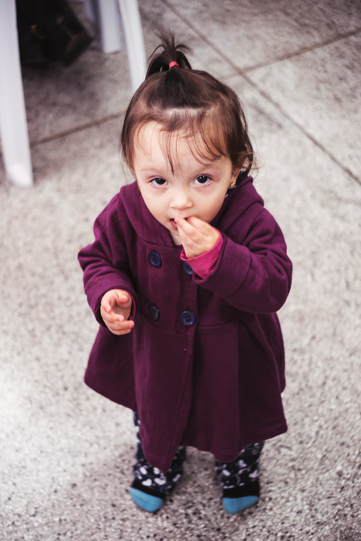 Não alimente os animais