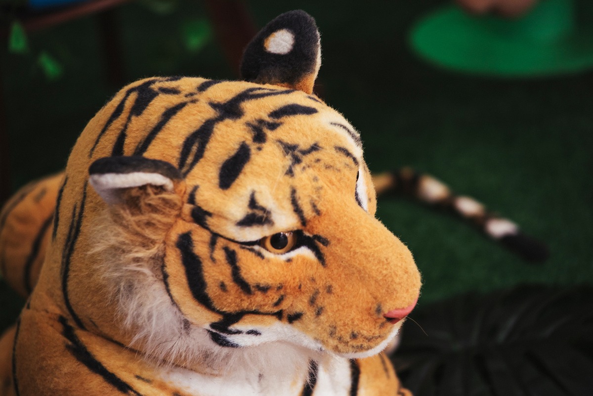 Um   tigre , dois tigres , três tigres , aprendendo a contar tigres no niver do Matheus na Doce Mania