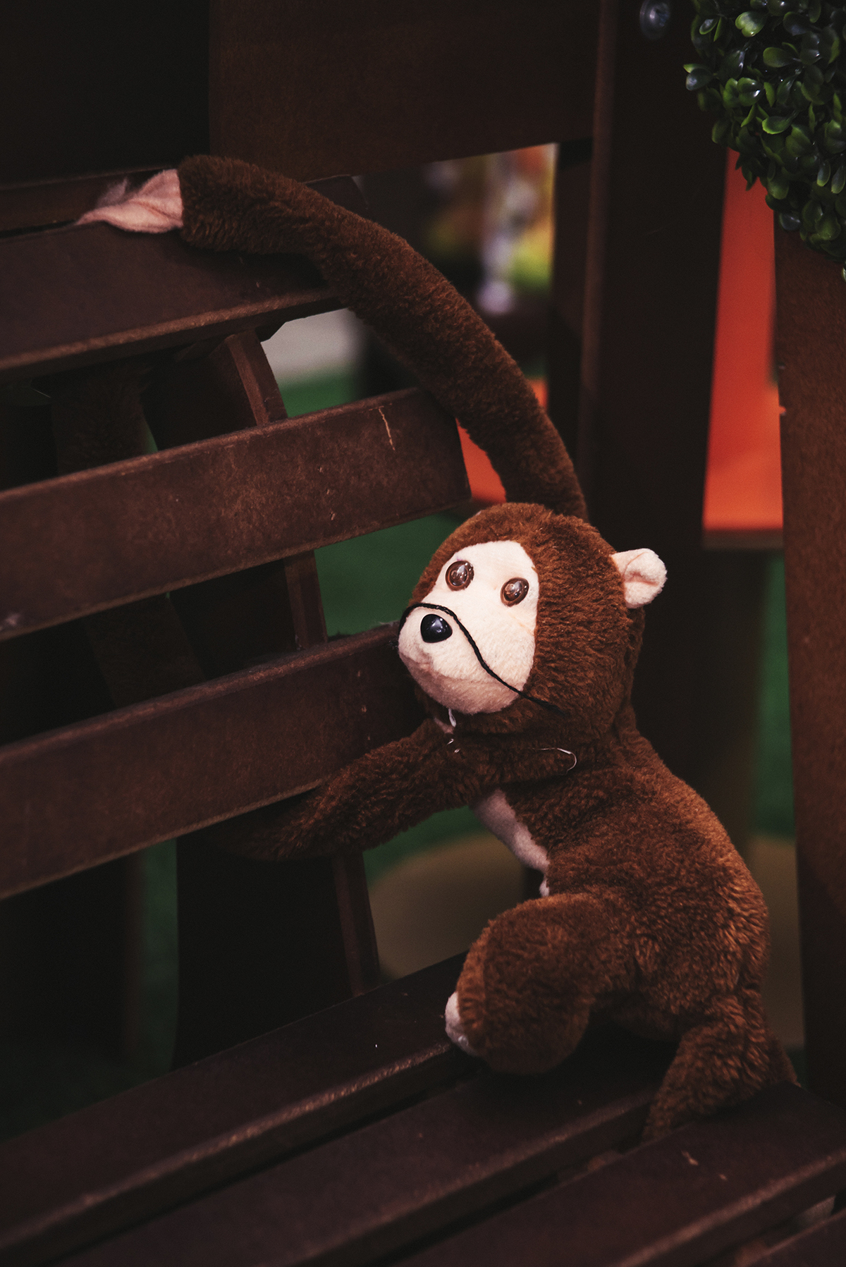 Que bicho é esse? vai subir