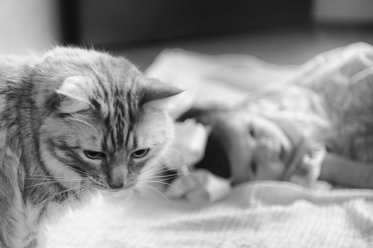 Foto no quarta da criança no
acompanhamento do bebê  de 3 meses