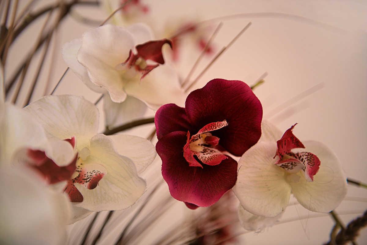 CAPTAR OS DETALHES QUE PASSAM BATIDO