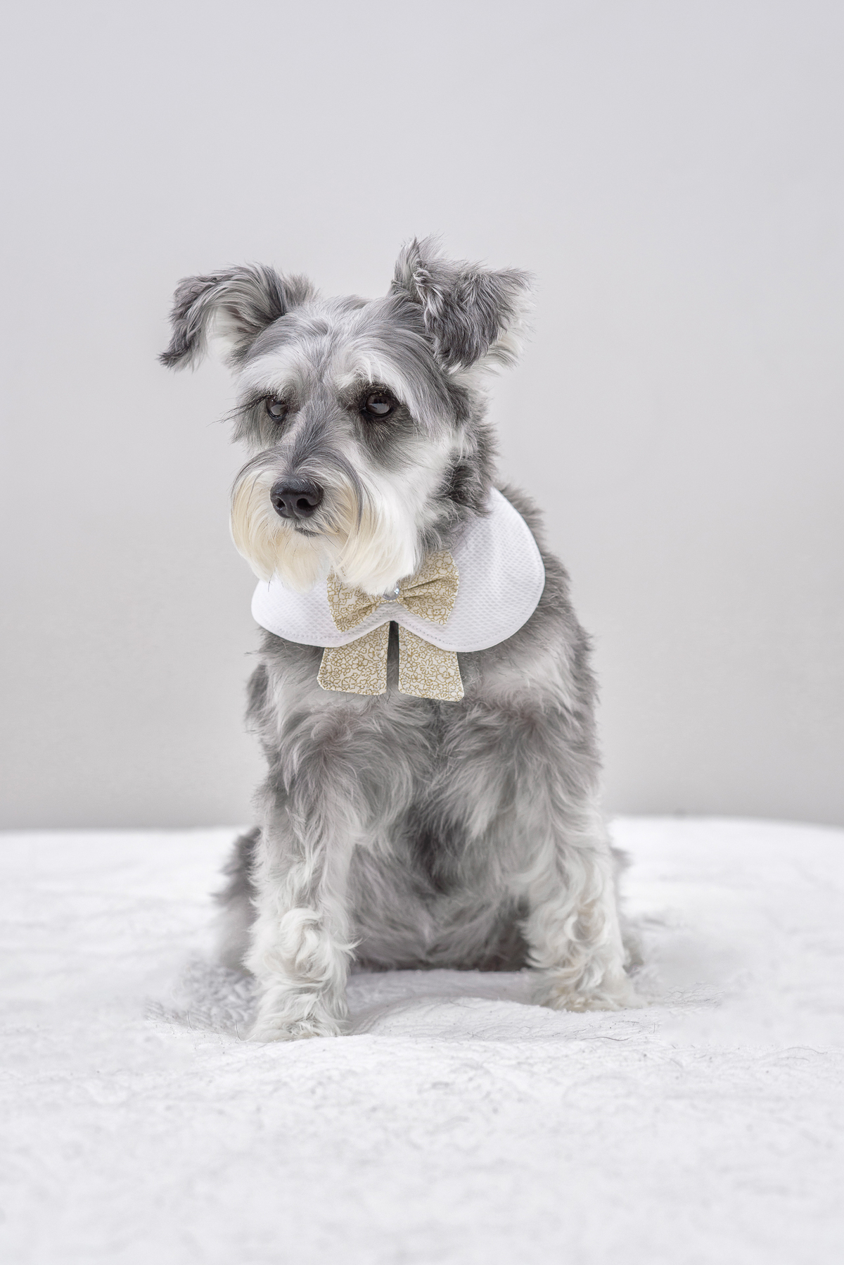 Eles não sabem que exatamente naquele momento você está tentando tirar fotos 