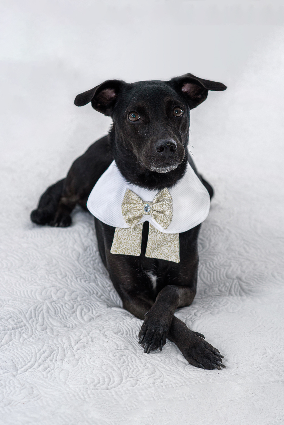 captar e capiturar bastante momentos espontâneos 