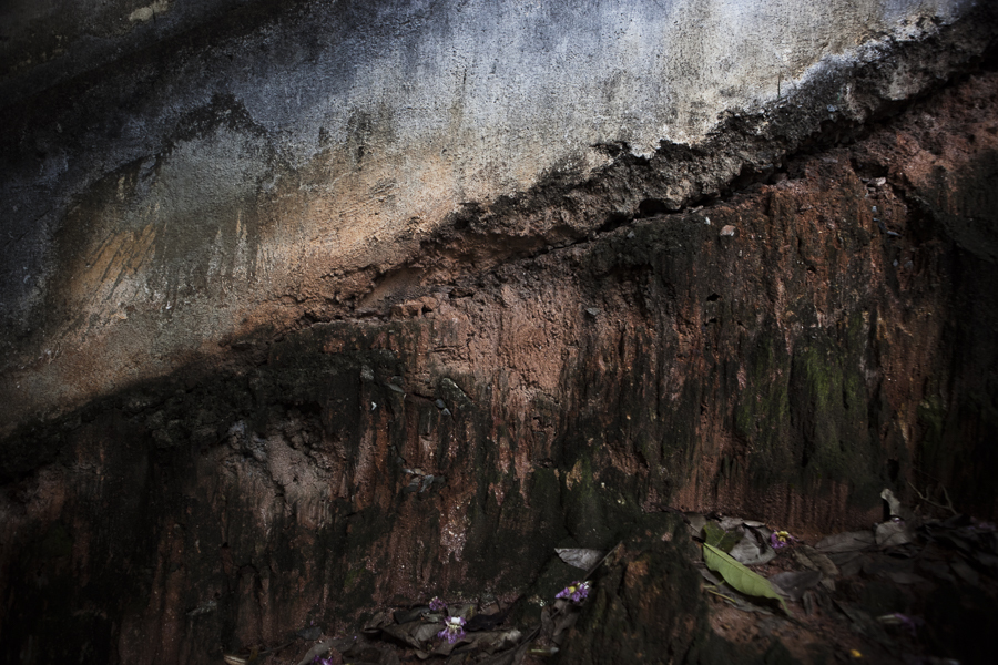 Concreto e Natureza - São Paulo