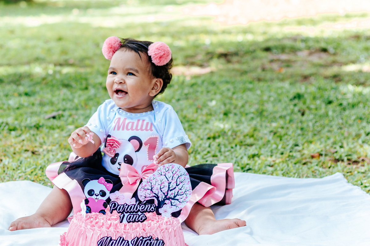 bolo + de + smash + the + cake