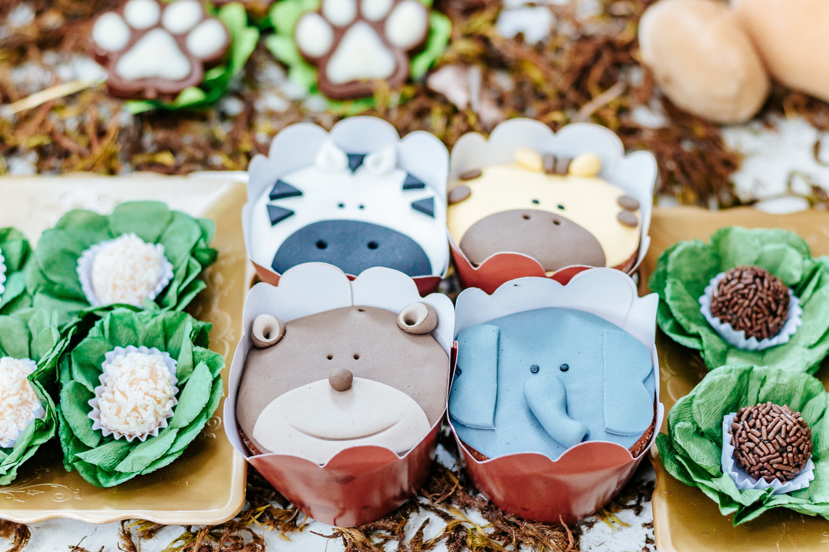 Festa infantil tema safari