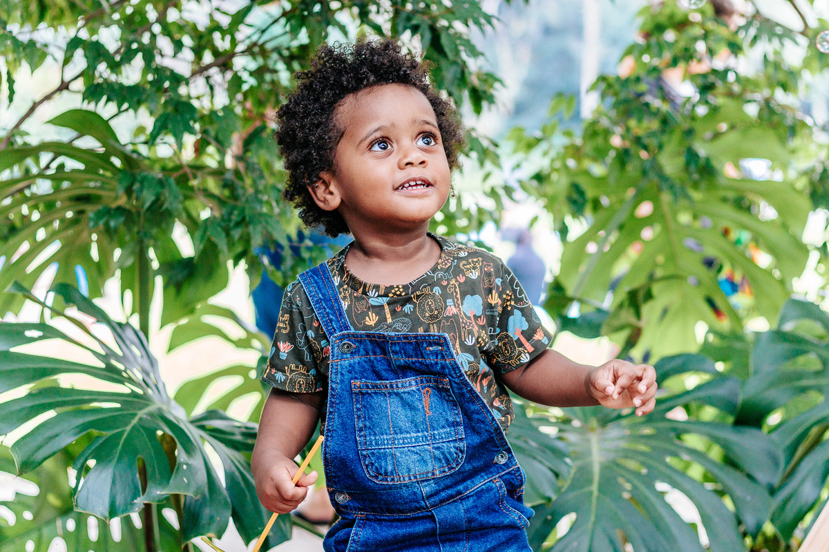 Como fazer um Picniver