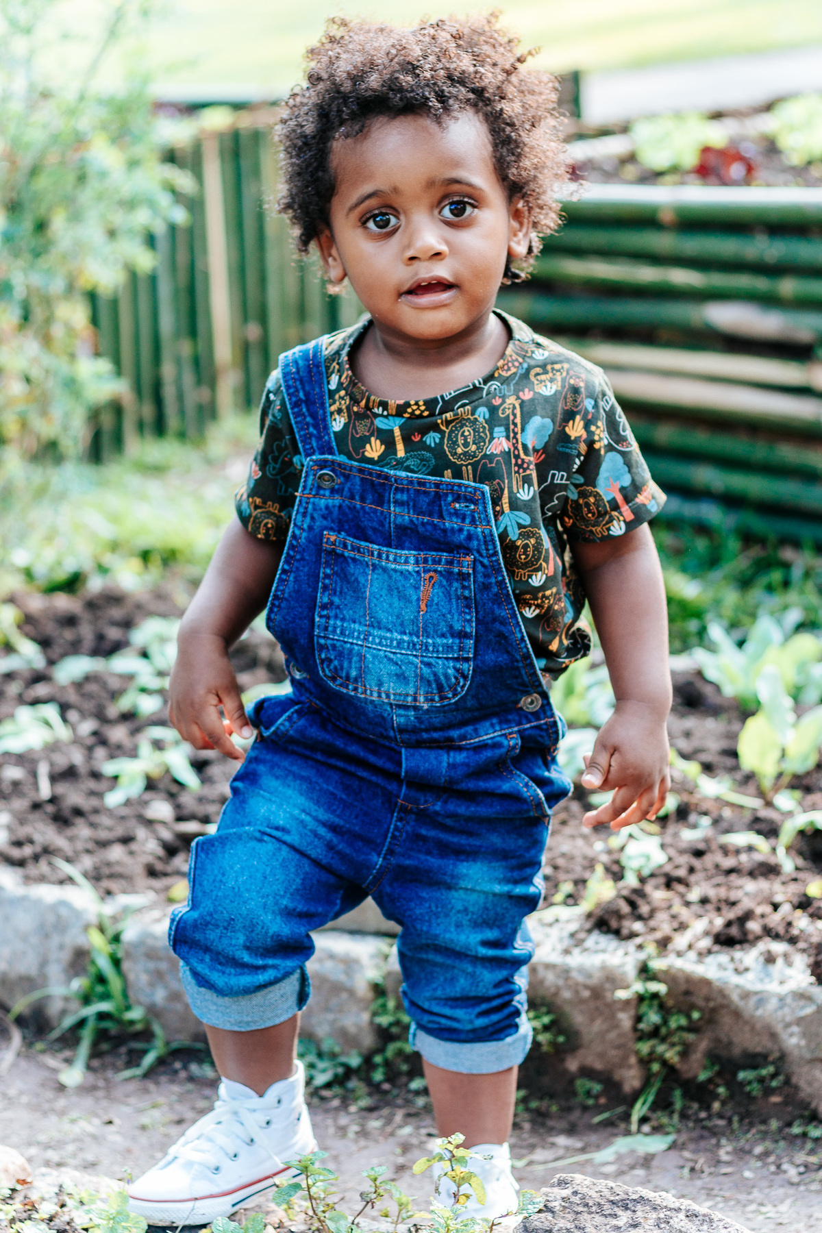 Fotografia de Picniver