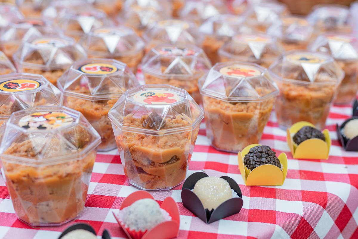 picniver em são paulo