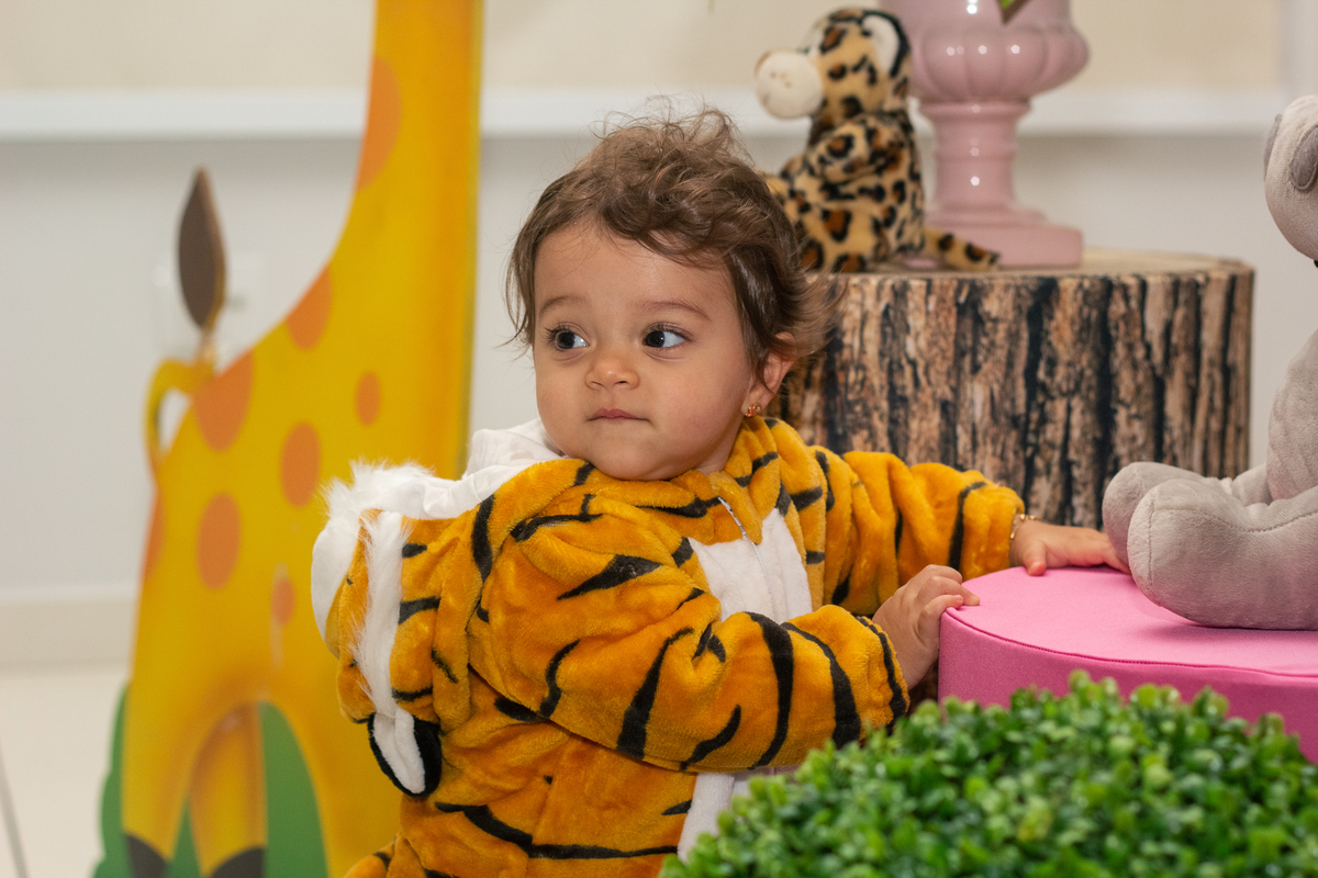 Fotógrafo de festa infantil