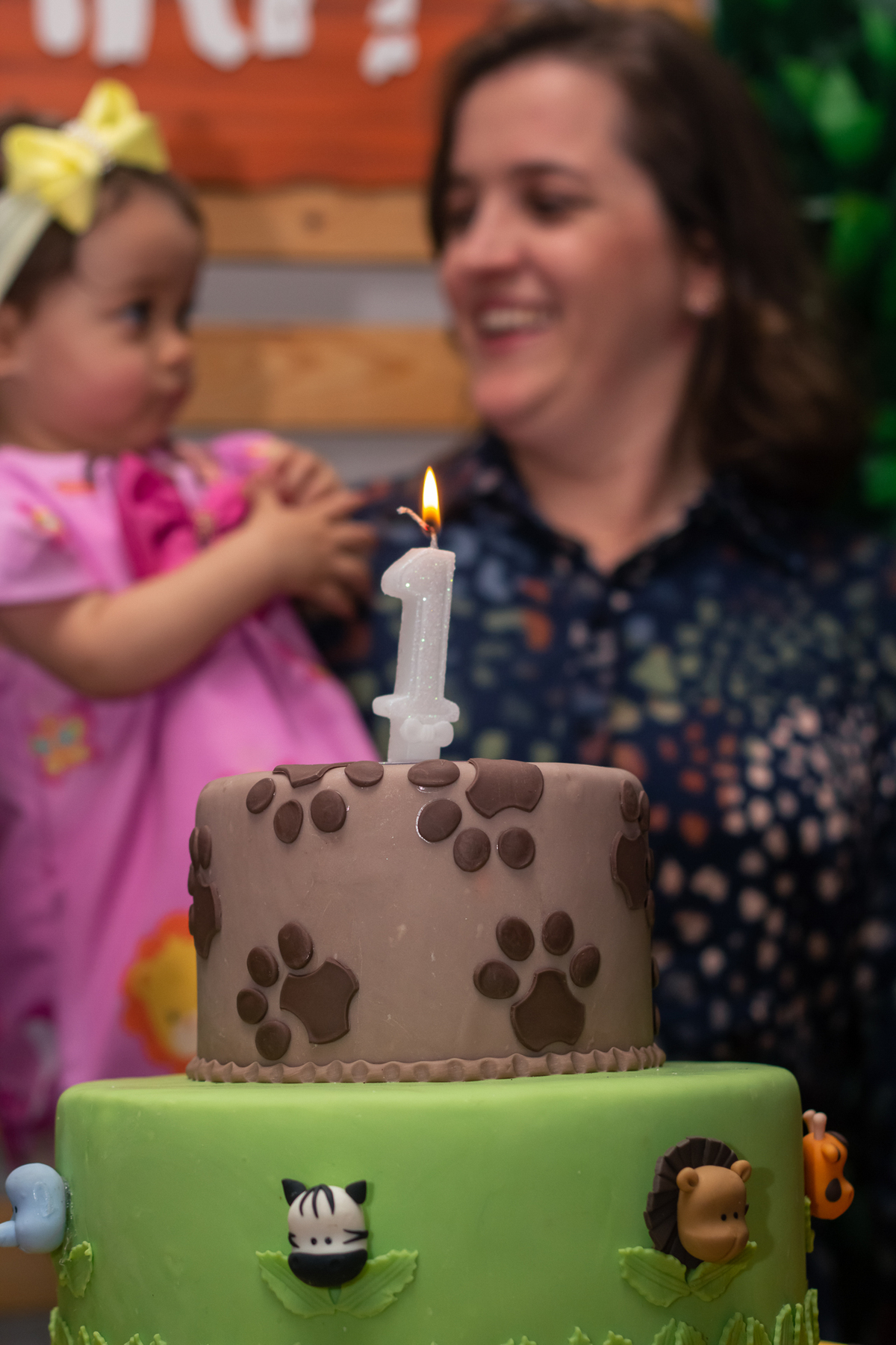 Fotógrafo de festa infantil en Várzea Paulista