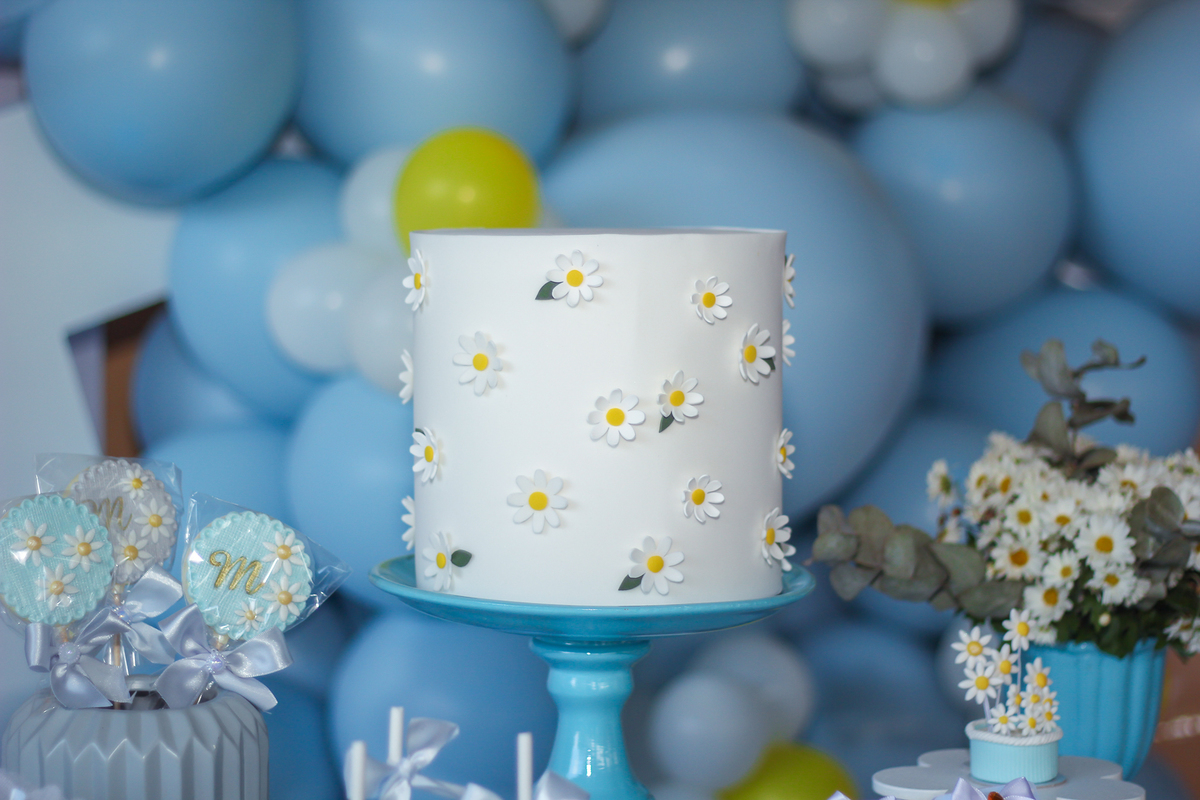 Fotografos de aniversário em Várzea Paulista