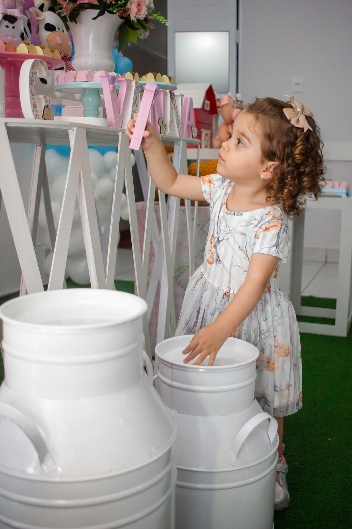 Fotógrafo de aniversário de criança em Várzea Paulista