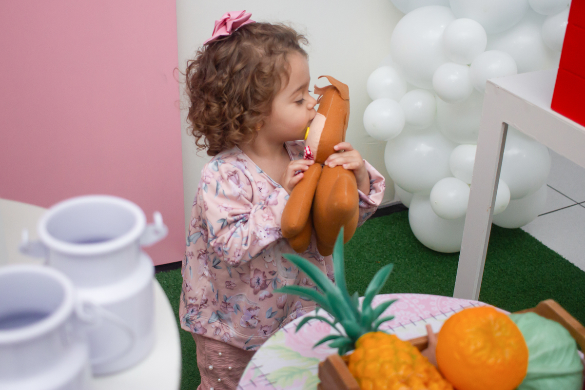 Preço de fotógrafo de festa infantil