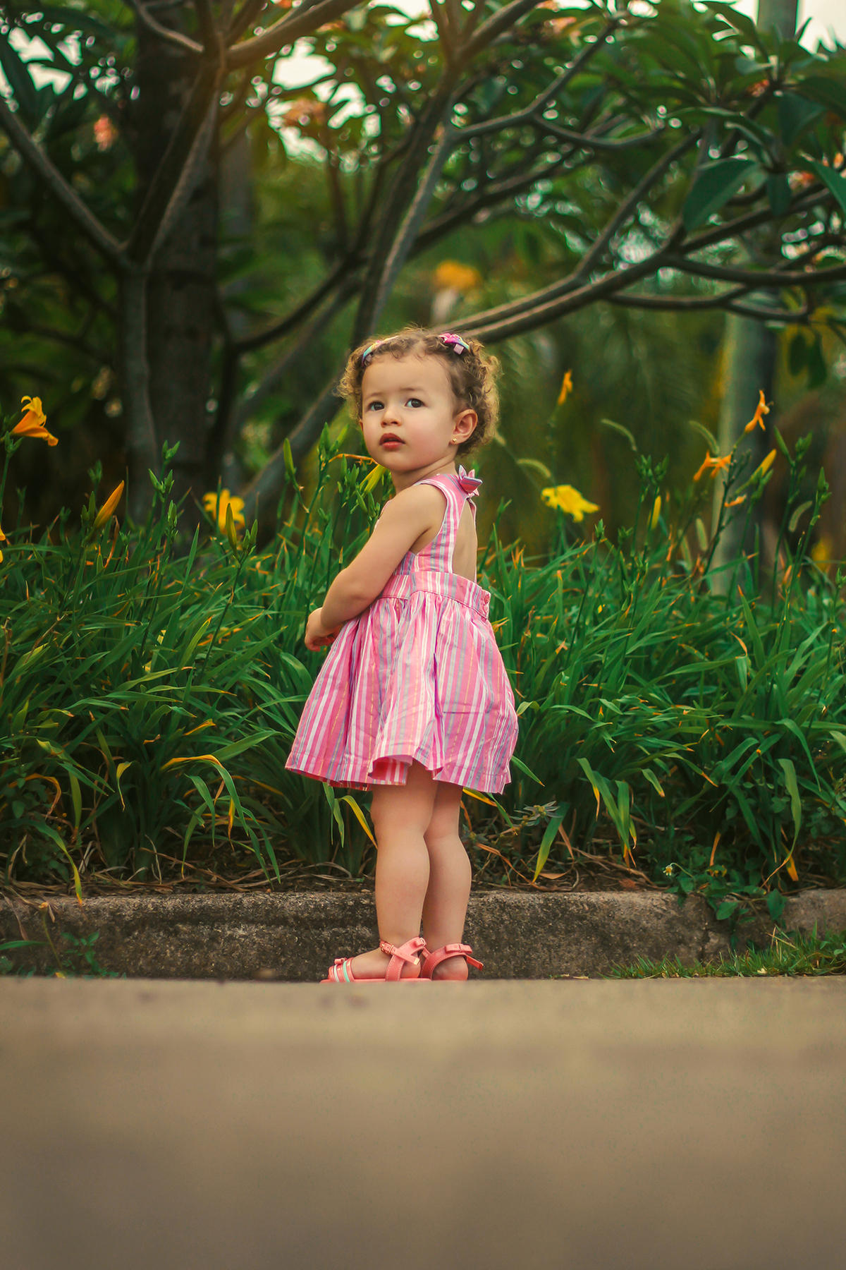 ensaio de fotos de 1 ano jundiai