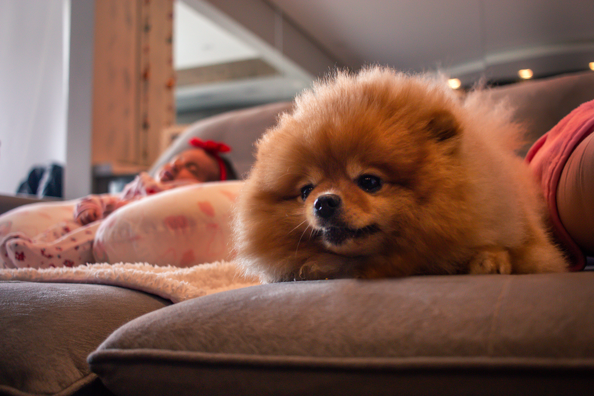 Primeiros dias em casa: Registrando os momentos mais doces em família.