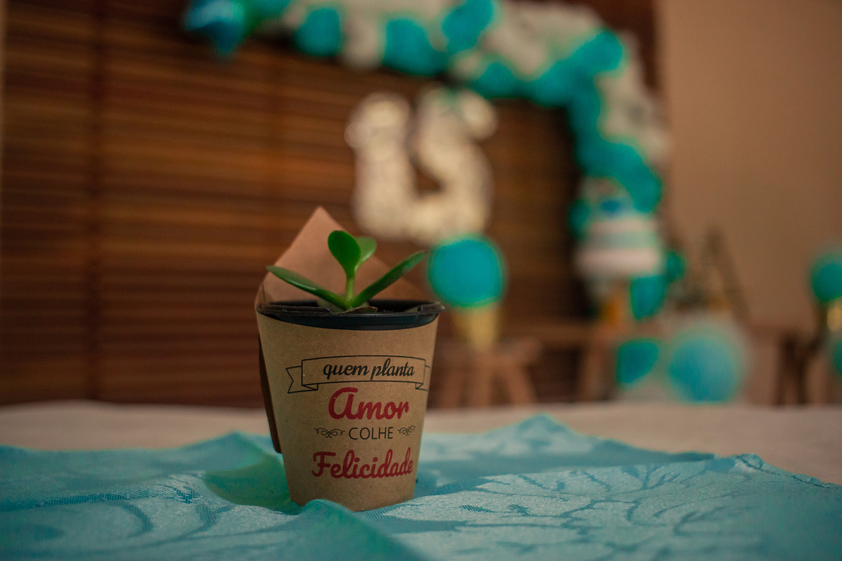 festa de 15 anos simples