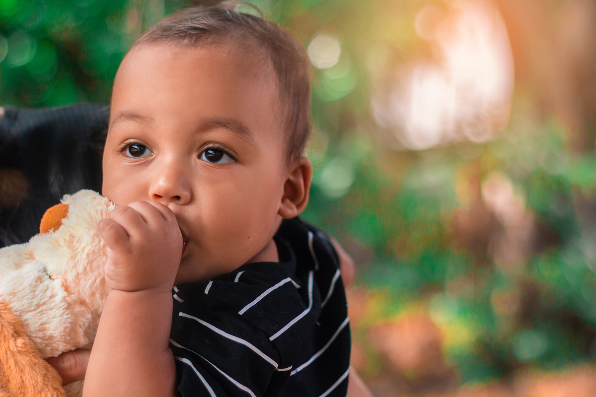 ensaio de fotos um ano campo limpo pta