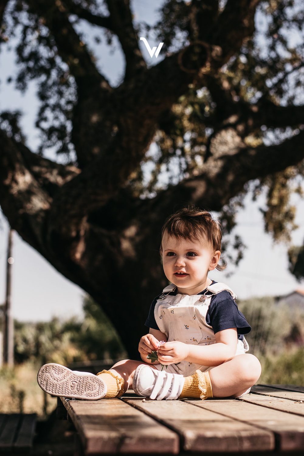weclick sessões fotográficas évora fotógrafos alentejo alto de são bento criança familia